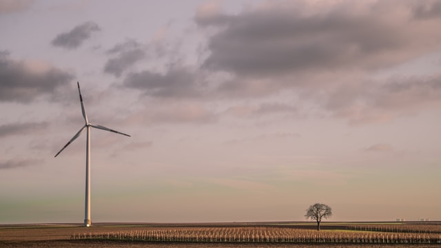 wind turbine at a field